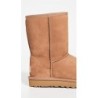 UGG Classic Short II 1016223 | Bottes Versatiles
